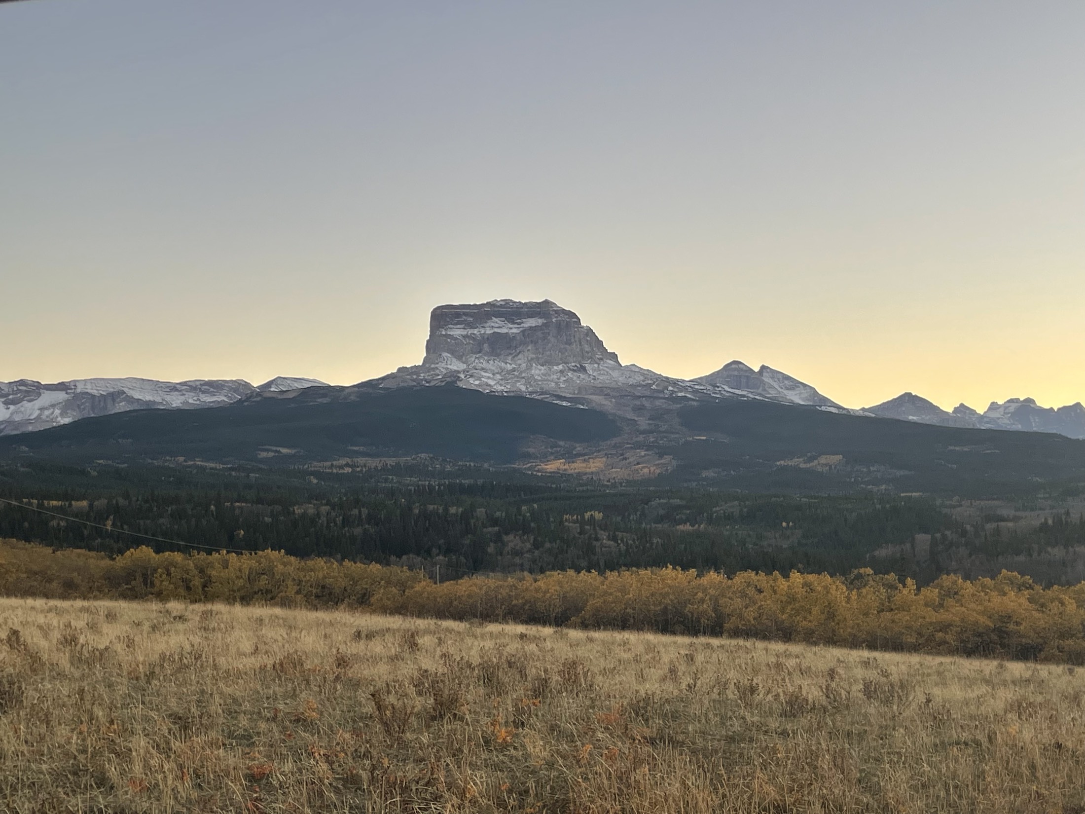 Chief Mountain at first light above a golden prairie